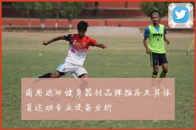 商用进口健身器材品牌推荐及其体育运动专业设备分析