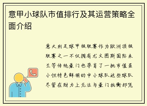 意甲小球队市值排行及其运营策略全面介绍