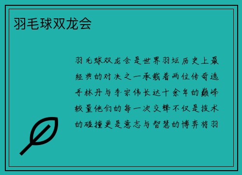 羽毛球双龙会